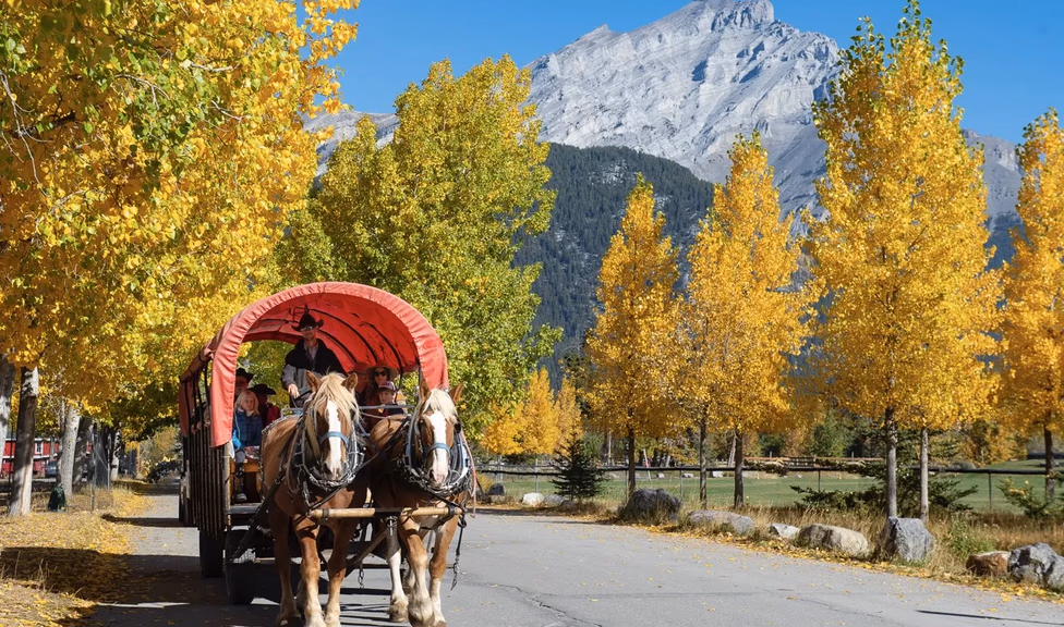 Cowboy Wagon Journey with BBQ For Two